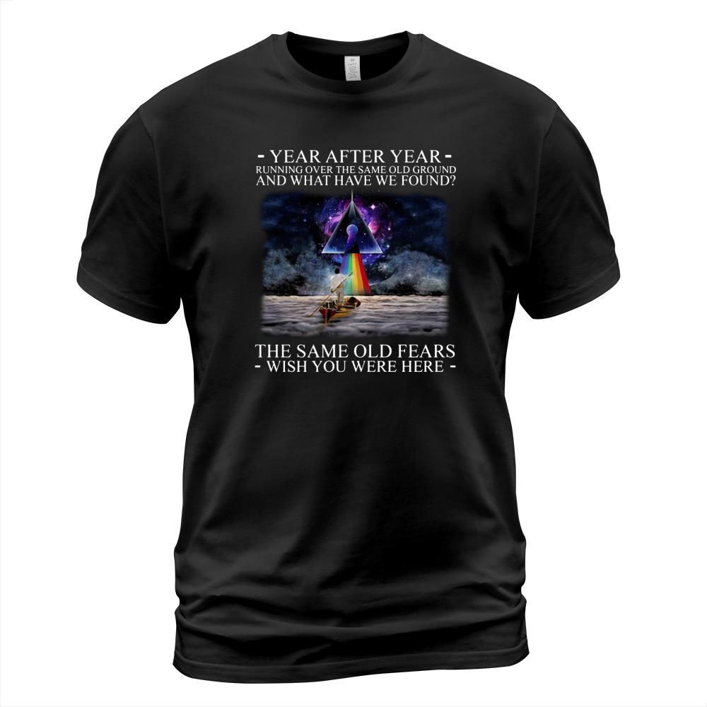 Wish You Were Here Delicate Sound Of Thunder Lyrics Pink Floyd shirt T-Shirt Unisex