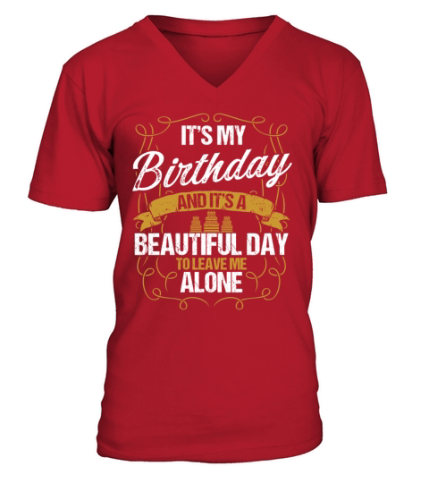 Funny Birthday Idea for Men Humor Sarcasm Birthday V-Neck T-shirt