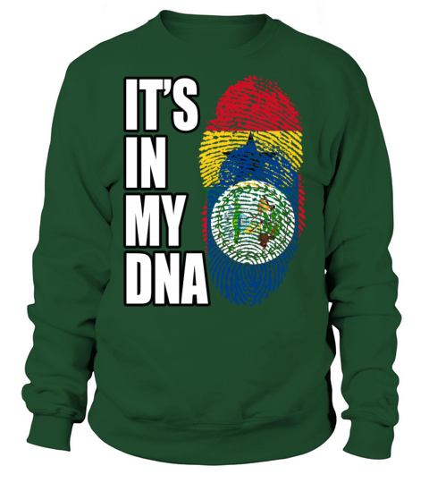 Ghanaian And Belizean Mix Heritage DNA Flag Sweatshirt Unisex