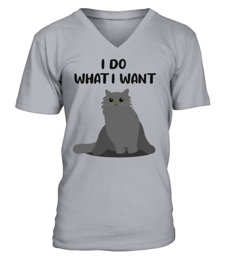 Cat Sassy Kitten Cat Funny Quote Gift Idea V-Neck T-shirt