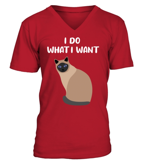 Cat Sassy Kitten Cat Funny Quote Gift Idea V-Neck T-shirt