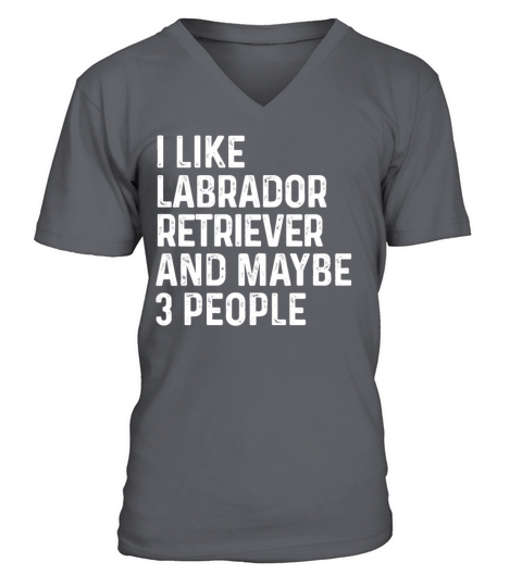 I Like Labrador Retriever And Maybe 3 People Dog V-Neck T-shirt