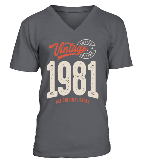 Vintage Born in 1981 - 41st Birthday Retro V-Neck T-shirt