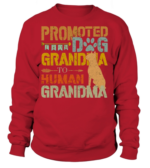 Promoted From Dog Grandma To Human Grandma Retro Vintage Sweatshirt Unisex