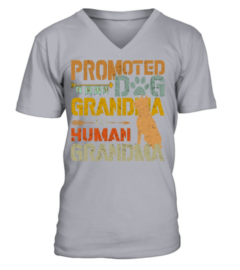 Promoted From Dog Grandma To Human Grandma Retro Vintage V-Neck T-shirt