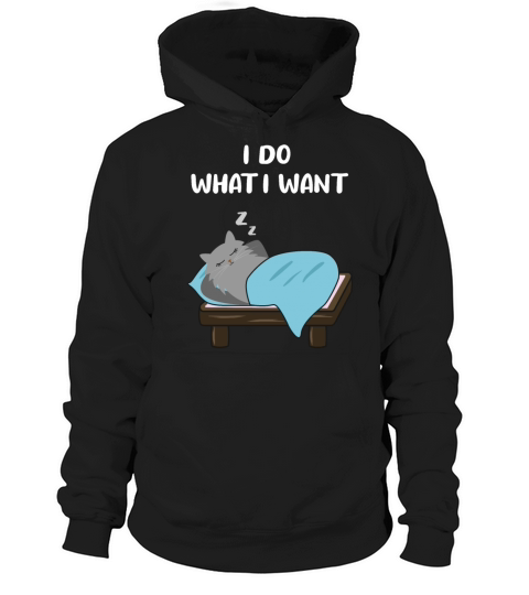 Cat Sassy Kitten Cat Funny Quote Gift Idea Hoodie Unisex