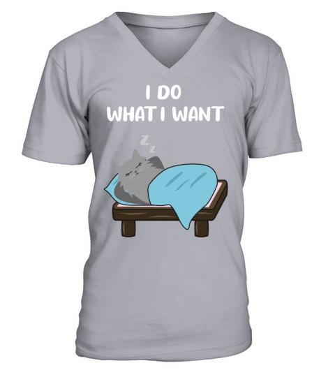 Cat Sassy Kitten Cat Funny Quote Gift Idea V-Neck T-shirt