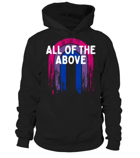 All of the Above Bisexual LGBTQ Bi Pride Hoodie Unisex