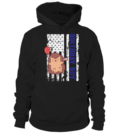 Hedgehog America 4th of July Birthday Boy Hoodie Unisex