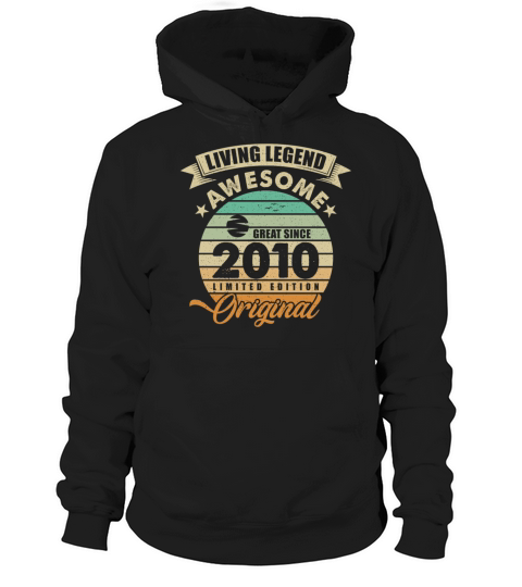 Vintaga 2010 Birthday Hoodie Unisex