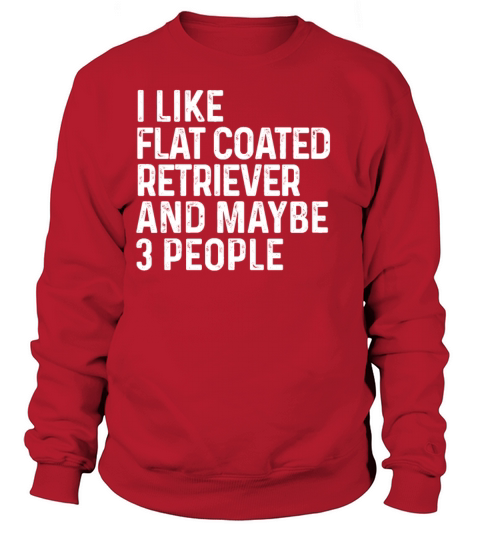 I Like Flat Coated Retriever And Maybe 3 People Sweatshirt Unisex