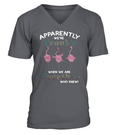 Flamingos apparently were trouble when we are together who knew - Ladies Flowy Tank V-Neck T-shirt