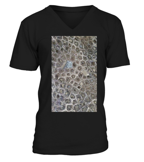 Petoskey Stone, Pure Michigan! - iPhone X V-Neck T-shirt