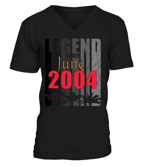2004 vintage born in June gift V-Neck T-shirt