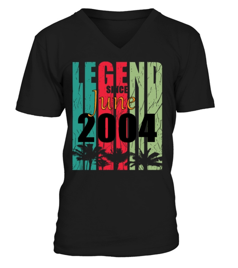 2004 vintage born in June gift V-Neck T-shirt