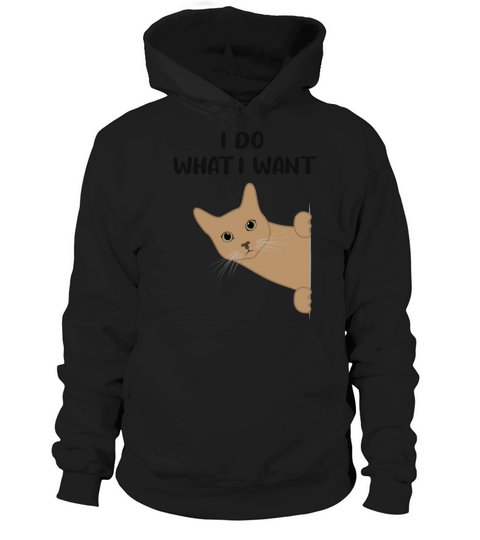 Cat Sassy Kitten Cat Funny Quote Gift Idea Hoodie Unisex