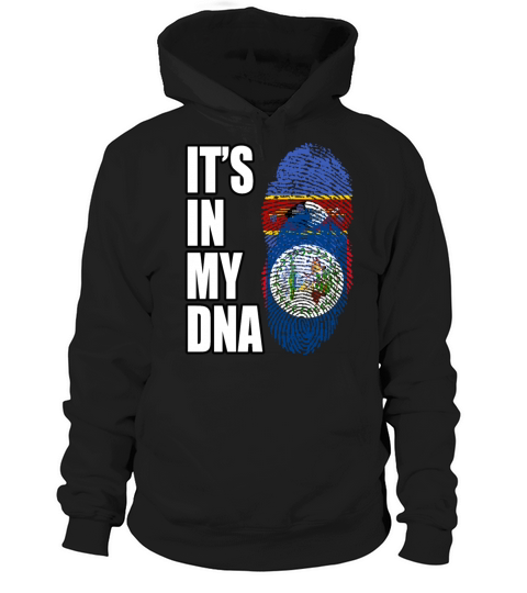 Swazi And Belizean Vintage Heritage DNA Flag Hoodie Unisex