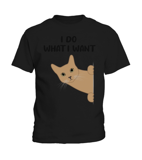 Cat Sassy Kitten Cat Funny Quote Gift Idea Kids T-Shirt