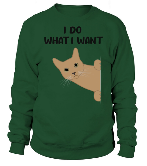 Cat Sassy Kitten Cat Funny Quote Gift Idea Sweatshirt Unisex