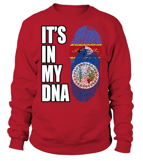Swazi And Belizean Vintage Heritage DNA Flag Sweatshirt Unisex