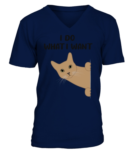 Cat Sassy Kitten Cat Funny Quote Gift Idea V-Neck T-shirt