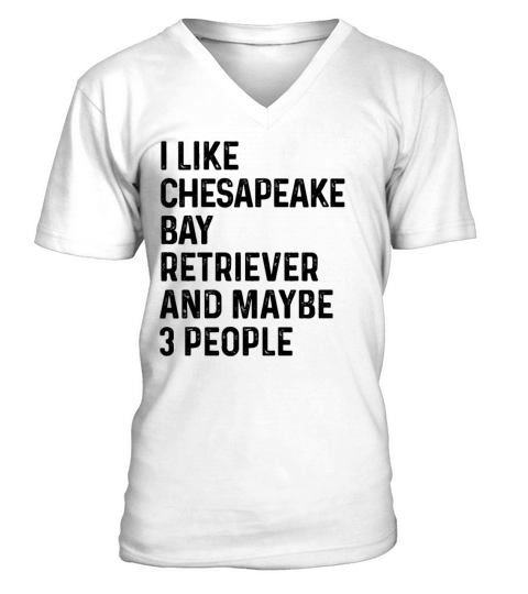 I Like Dandie Dinmont Terrier And Maybe 3 People V-Neck T-shirt