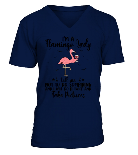 Im A Flamingo Lady Tell Me Not To Do Something V-Neck T-shirt