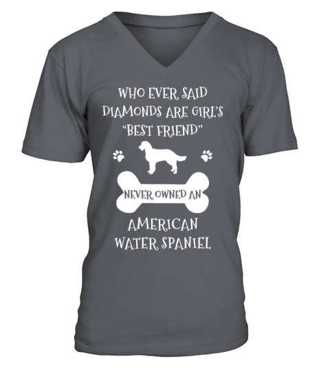 My Best Friend Is American Water Spaniel Cool Gift V-Neck T-shirt