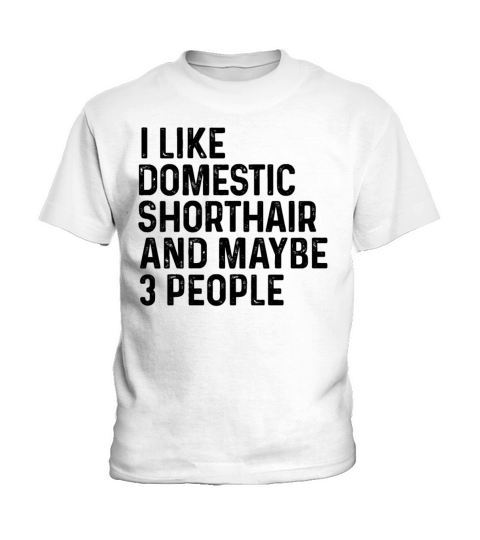 I Like Domestic Shorthair And Maybe 3 People Kids T-Shirt