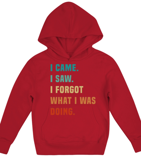Vintage I Came I Saw I Forgot What I was Doing Sar Kids Hoodie