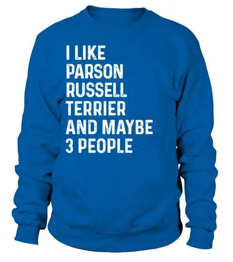 I Like Pembroke Welsh Corgi And Maybe 3 People Sweatshirt Unisex