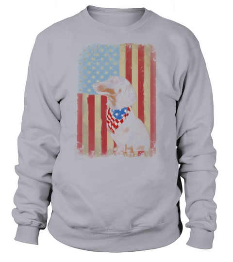 Dachshund flag US 4th Of July shirt Sweatshirt Unisex