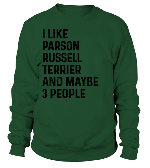 I Like Pembroke Welsh Corgi And Maybe 3 People Sweatshirt Unisex