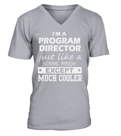 PROGRAM DIRECTOR Cooler V-Neck T-shirt
