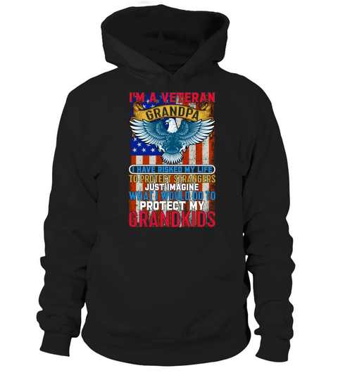 Im A Veteran Grandpa I Have Risked My Life To Protect Strangers Just Imagine Hoodie Unisex