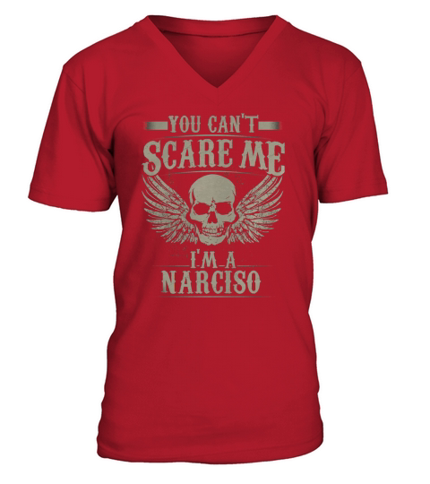 Funny Vintage Style Tshirt for NARCISO V-Neck T-shirt