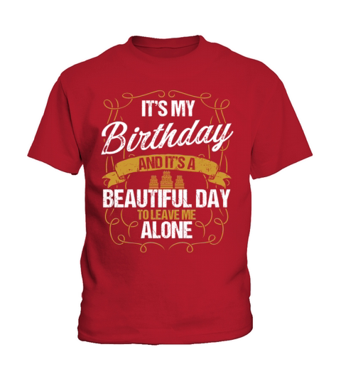 Funny Birthday Idea for Men Humor Sarcasm Birthday Kids T-Shirt