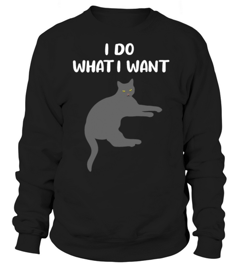 Cat Sassy Kitten Cat Funny Quote Gift Idea Sweatshirt Unisex