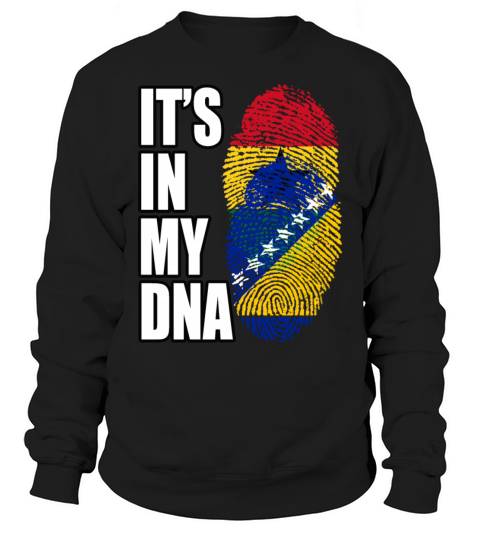 Ghanaian And Bosnian Mix Heritage DNA Flag Sweatshirt Unisex