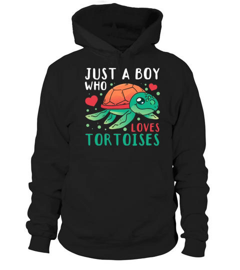 Just A Boy Who Loves Tortoises Turtle Tortoises Hoodie Unisex