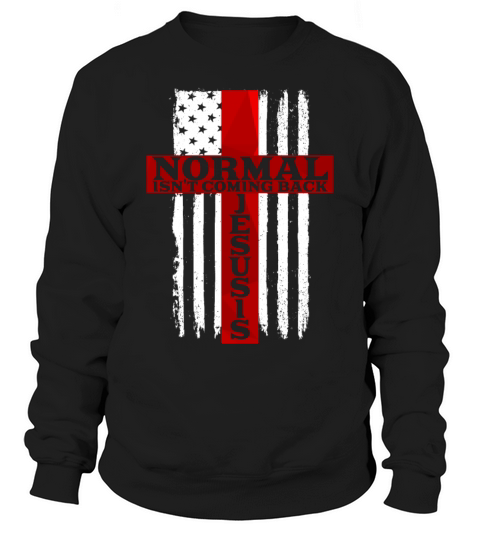 Normal Isnt Coming Back Jesus Is American Flag Sweatshirt Unisex