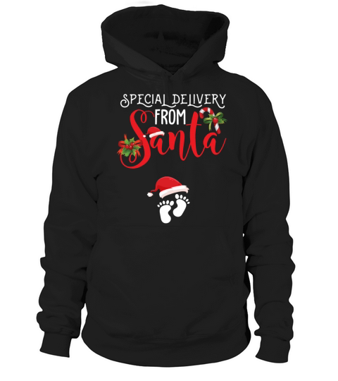 Special Delivery From Santa Funny Christmas Hoodie Unisex