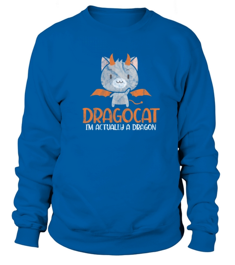 Dragocat Im Actually A Dragon Cat Vintage Sweatshirt Unisex