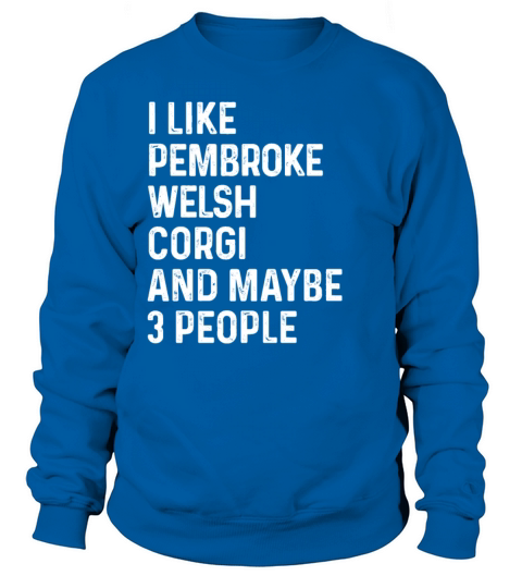 I Like Pembroke Welsh Corgi And Maybe 3 People Sweatshirt Unisex