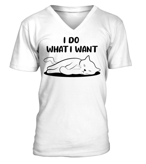 Cat Sassy Kitten Cat Funny Quote Gift Idea V-Neck T-shirt