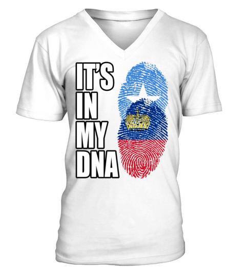 Somali And Liechtensteiner Vintage Heritage DNA Fl V-Neck T-shirt