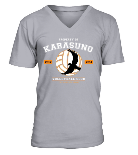 Team Karasuno T-Shirt V-Neck T-shirt