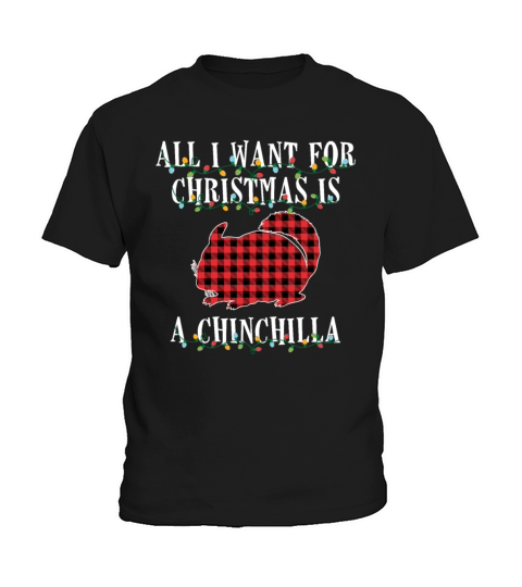 All I Want For Christmas Is A Chinchilla Funny Kids T-Shirt