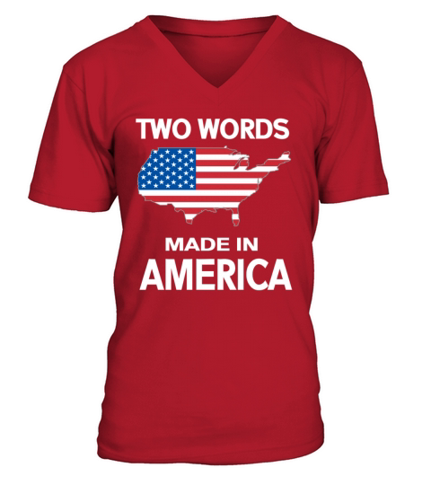 Two Words Made In America Funny Biden Quote Anti V-Neck T-shirt
