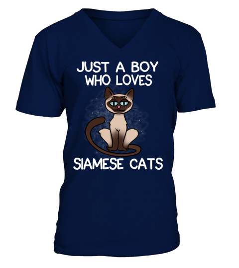 Just A Boy Who Loves Siamese Cats V-Neck T-shirt
